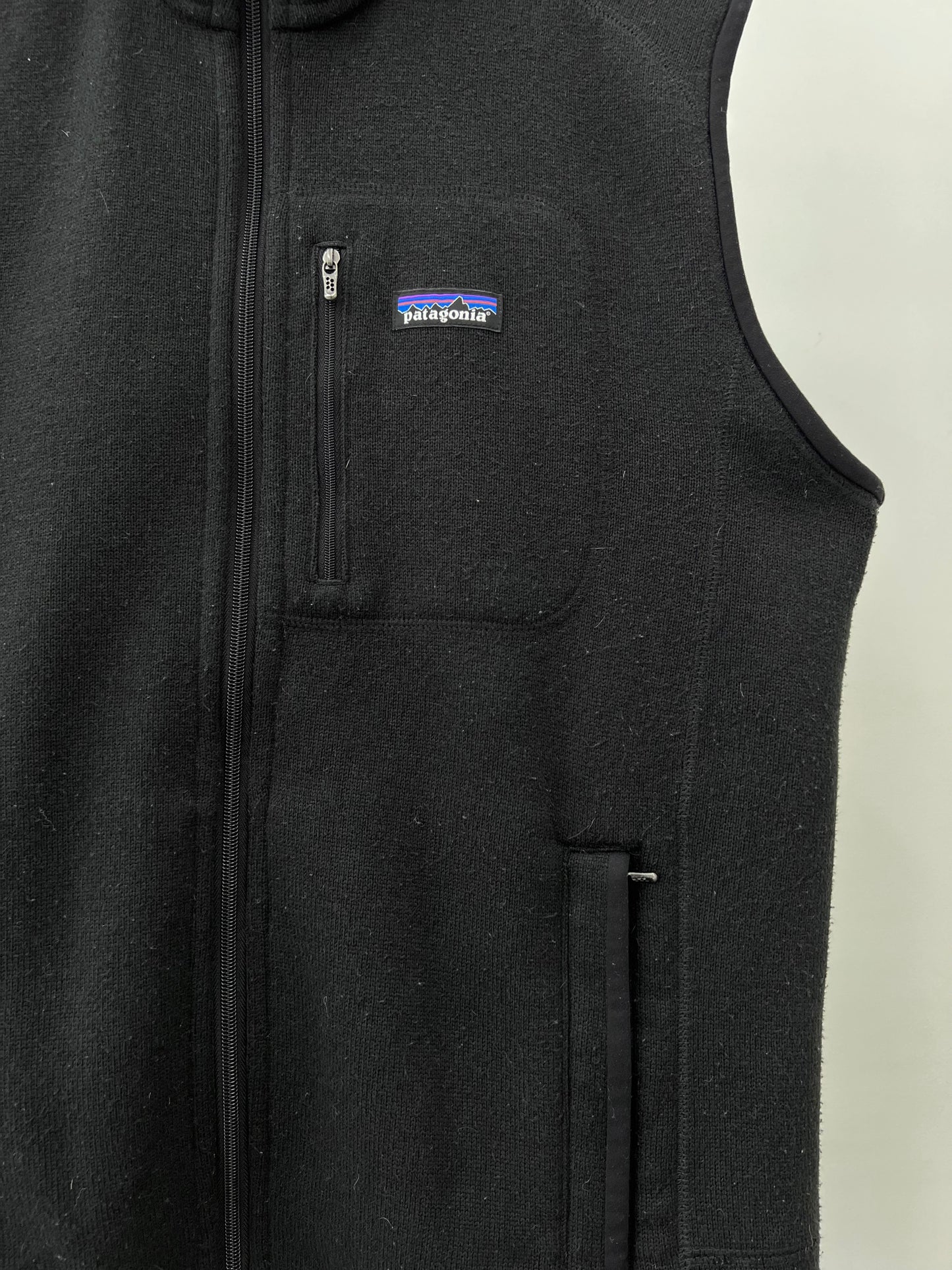 00's patagonia fleece vest