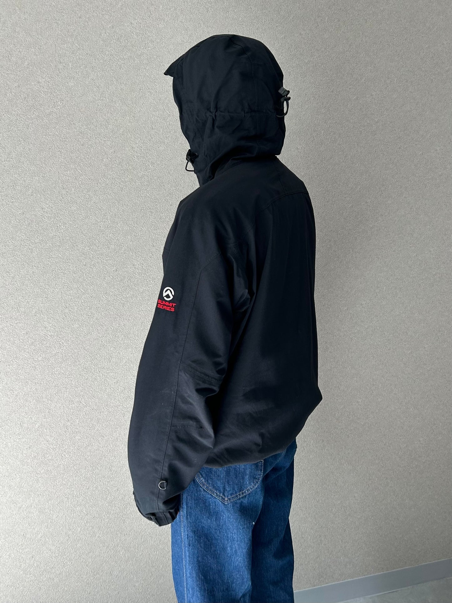 90's〜 THE NORTH FACE GORE-TEX jacket "SUMMIT SERIES"