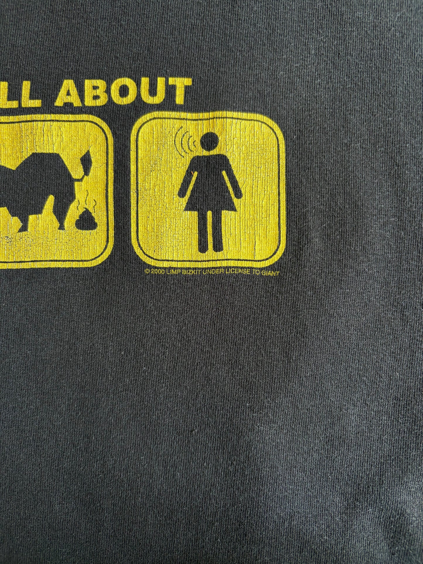 00's Limp Bizkit music t-shirt