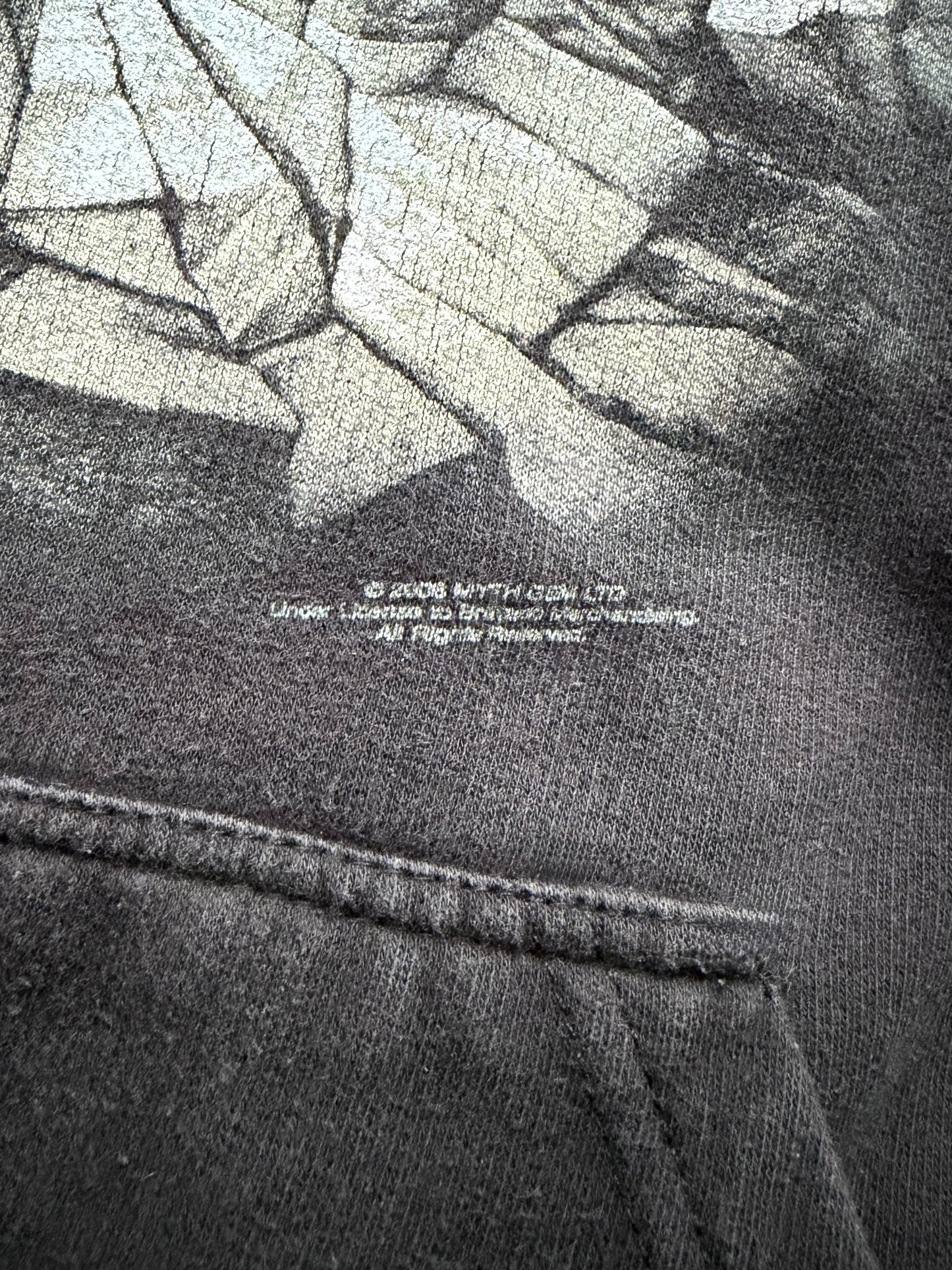 00's LED ZEPPELIN sweat hoodie