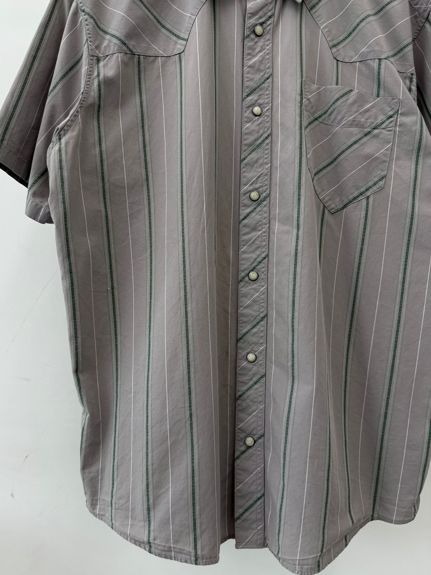00's patagonia western shirt
